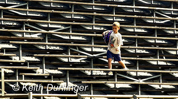 8-17-01-33 WILD STEPS