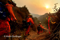 9-3-12 FIREFOLO02